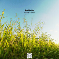 Normal Signals - Briel Hollm & Gabriel Slick