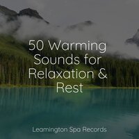 Delta Zen - Water Spa & Soothing Nature Sounds & Schlaflieder Relax
