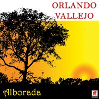 Si Yo Pudiera Hablarte - Orlando Vallejo