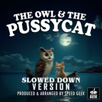 The Owl And The Pussycat - Speed Geek & Игорь Фёдорович Стравинский