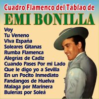 Voy - Cuadro Flamenco & Emi Bonilla
