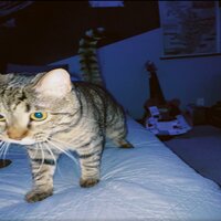 god eats you (GONE WRONG)_ - Janitor