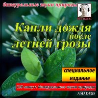 бинауральные звуки природы: Звуки ночи - Amadeus