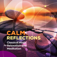 Nocturnes, Op. 62: No. 1, Andante in B Major - Vladimir Shakin & Фридерик Шопен