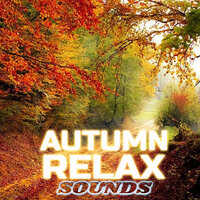 Ocean Storm Thunder Relax - Autumn Relax Sounds & The Sounds of Nature & Autumn for Sleep & Thunder Sounds & Thunderstorm & Wind Sounds