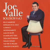 Mi Amor Ante Todo - Joe Valle