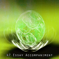 Спокойствие в поле безмятежности - Meditation Relax Club