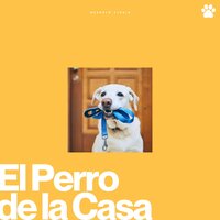 Sails Set by Stories - Perros que se Quedan en Casa
