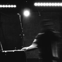 Weeping Willows - Aj Suede