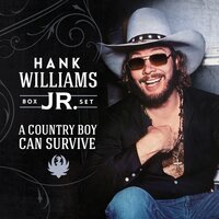 I'm For Love - Hank Williams Jr.