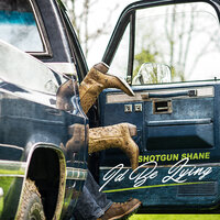 I'd Be Lying - Shotgun Shane
