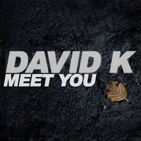 Meet You - David K & Thomas Lizzara