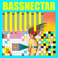 Lost in the Crowd - Bassnectar & Jantsen & Fashawn & Zion I