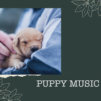 Calming Situation - Puppy Music & Puppy Music Therapy & Relaxing Music for Dogs