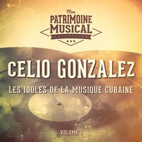 Por Que Te Quiero - Celio González