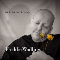 Det är inte nog - Freddie Wadling