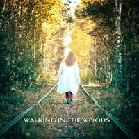 Therapy Music with Nature Sound - Zen Soothing Sounds of Nature & Walking Music Academy