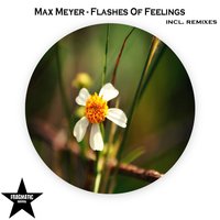 Flashes of Feelings - Max Meyer