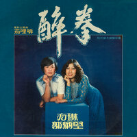 鬥氣夫妻 - 郭炳堅 & 方琳