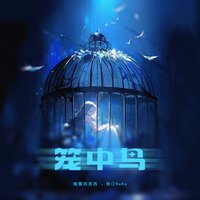 笼中鸟 - 格雷西西西 & 哈口HaKo