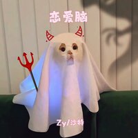 恋爱脑 - zy & 沙特