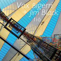 Suu born - Jim Black & Vox Bigerri