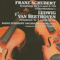 Symphony No. 5 in C Minor, Op. 67: I. Allegro con brio - Ludwig van Beethoven & Radio Symphony Orchestra Ljubljana
