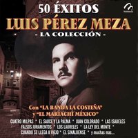 Canción del Alma - Luis Perez Meza