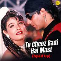Tu Cheez Badi Hain Mast - Udit Narayan & Kavita Krishnamurthy
