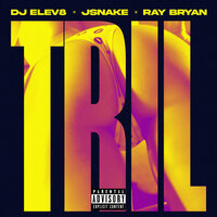 Tril - DJ Elev8 & JSnake & Ray Bryan