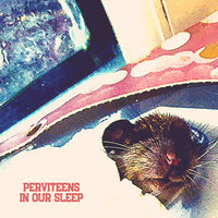 Get out of My Way - Perviteens