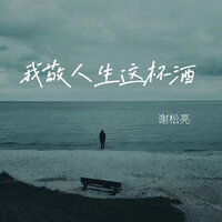 我敬人生这杯酒 - 谢松亮