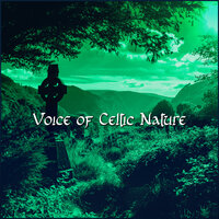 Green Celtic Meditation - Celtic Music Voyages