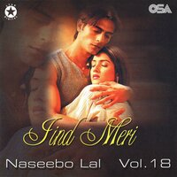 Tere Bina Chan Sajna - Naseebo Lal