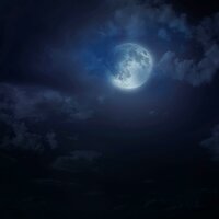 Quiet Tunes Promote Peaceful Rest - Oriental Music Collective & Calming Echoes & The Quiet Collective