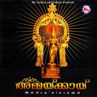 Mujjanma Punyamo - Vidhu Prathap