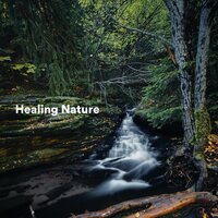 Sunny Countryside Morning - Calm music & Nature Therapy & Cascada de Lluvia