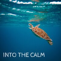 Don't Sweat It - Calm Music Zone & Keep Calm Music Collection & Serenity Music Relaxation