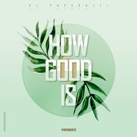 How Good Is - DJ Paparazzi