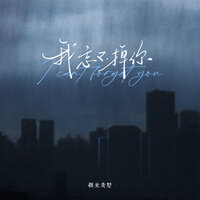 我忘不掉你 - 极光类型