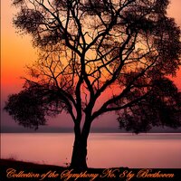 Symphony No. 8 in F Major, Op. 93: I. Allegro vivace e con brio - Wiener Philharmoniker & Felix Weingartner & Ludwig van Beethoven