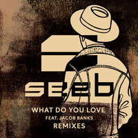 What Do You Love - Seeb & Jacob Banks & Hook N Sling