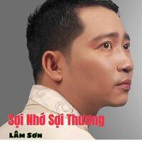 Cát Bụi Cuộc Đời - Lâm Sơn
