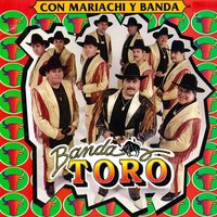 Amor Perdido - Banda Toro