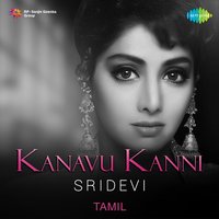 Ranga Rangaiyya (From "Varumayin Niram Sivappu") - P. Susheela