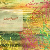 In a quiet front yard - Feeling Drawings