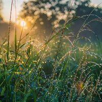 La Noche Tranquila Desciende - La red acordes & Soledad tranquila & Sentir buena música de la mañana