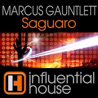Saguaro - Marcus Gauntlett & Luis Armando