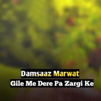 Jaram Pa Salqo Salqo - Damsaaz Marwat