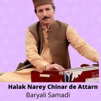 Halak Narey Chinar De Attarn - Baryali Samadi